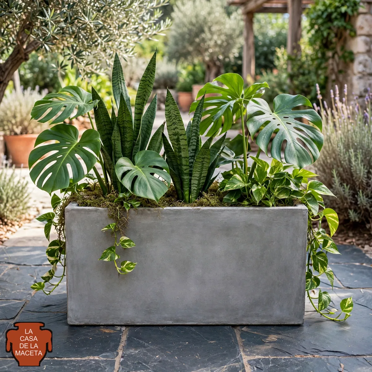 Jardinera de hormigón 80 × 30 × 40