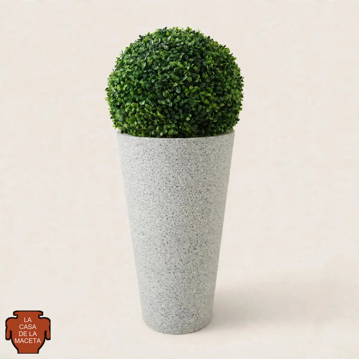 Cono